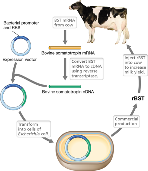 Ch 12 fig (p. 0)