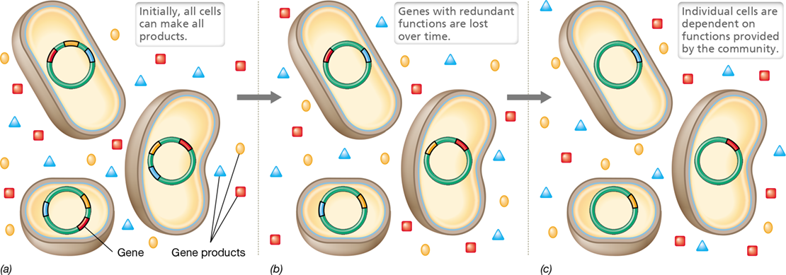 Ch 13 fig (p. 0)