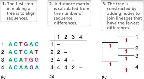 Ch 13 figure