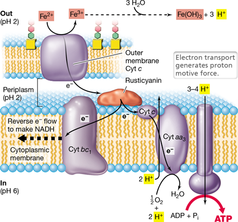 Ch 14 fig (p. 0)