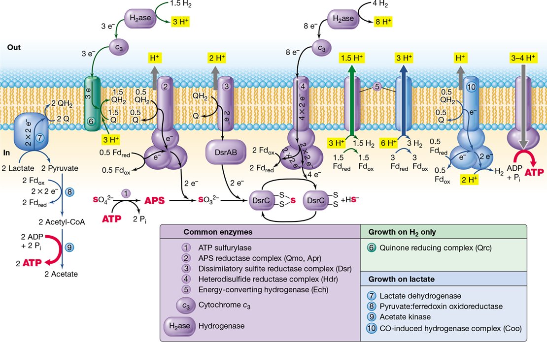Ch 14 fig (p. 0)