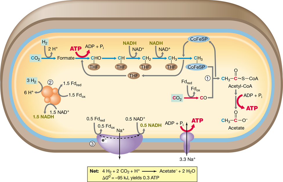 Ch 14 fig (p. 0)