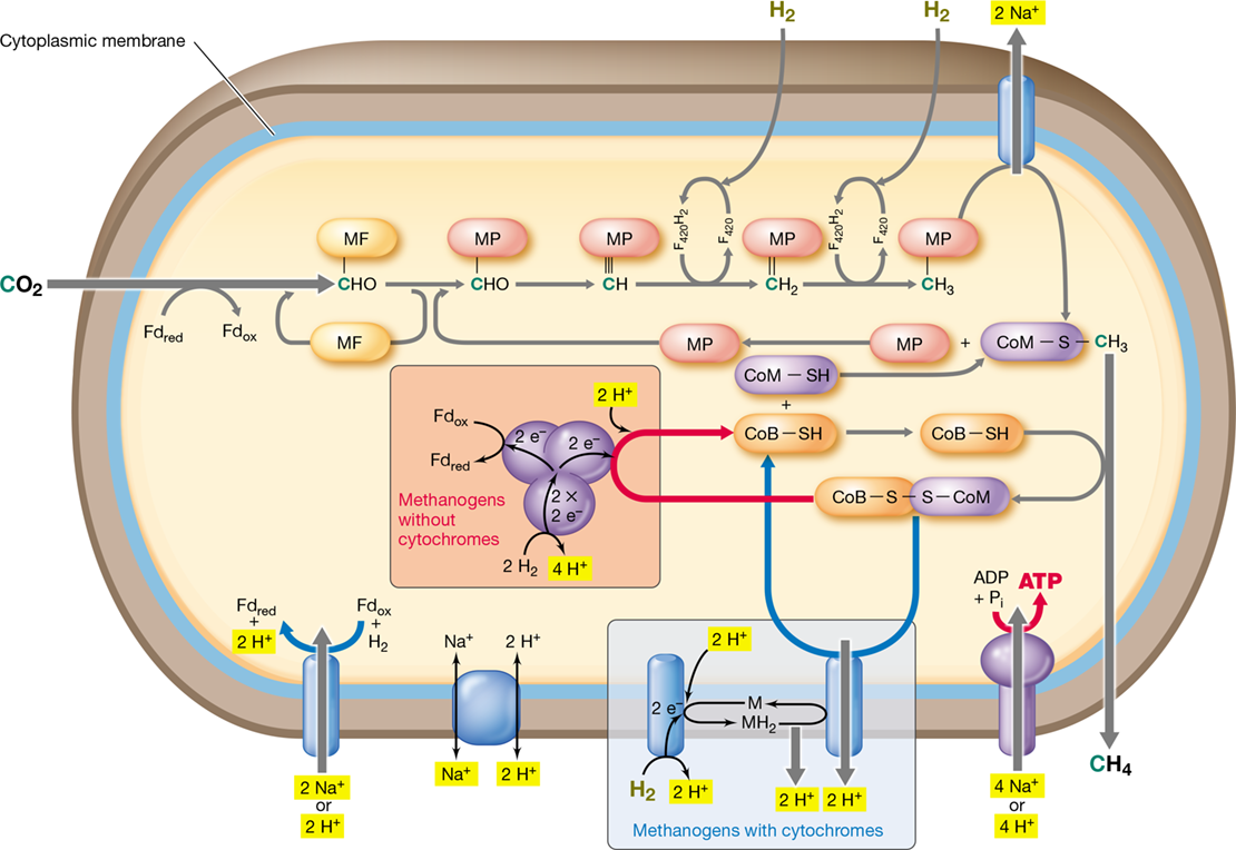 Ch 14 fig (p. 0)