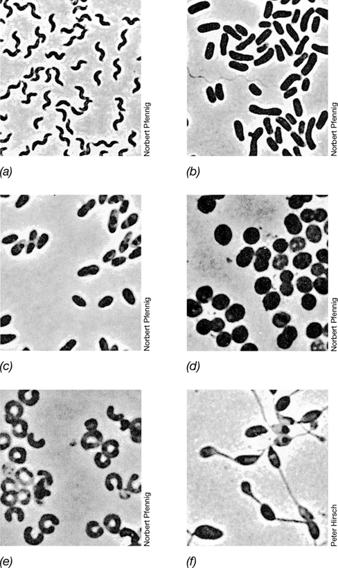 Ch 15 fig (p. 0)