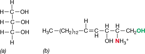Ch 16 figure