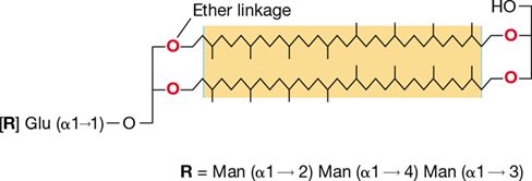 Ch 17 fig (p. 0)