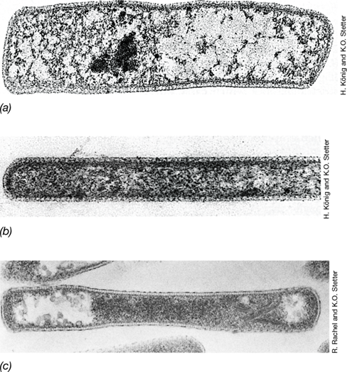 Ch 17 fig (p. 0)