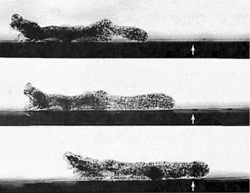 Ch 18 fig (p. 0)