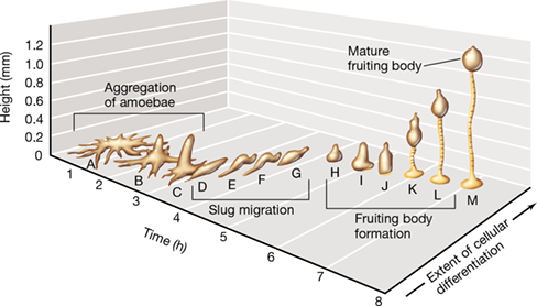 Ch 18 fig (p. 0)