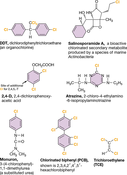 Ch 22 fig (p. 0)