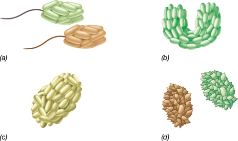 Ch 23 fig (p. 0)
