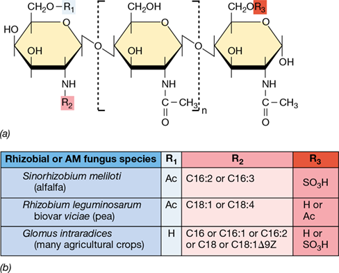 Ch 23 fig (p. 0)