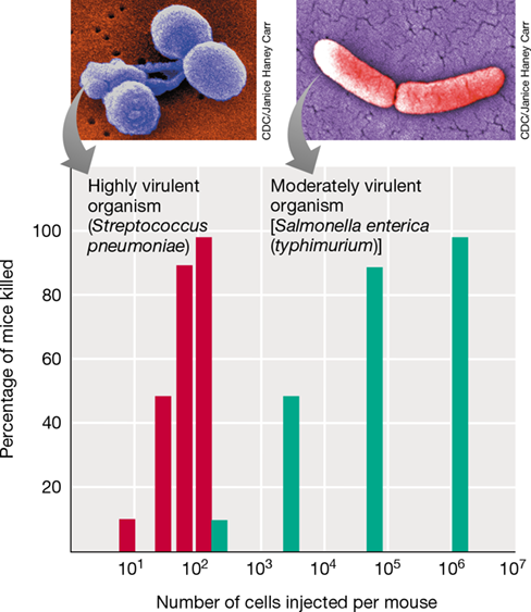 Ch 25 fig (p. 0)