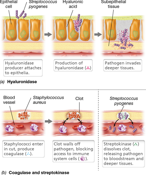 Ch 25 fig (p. 0)