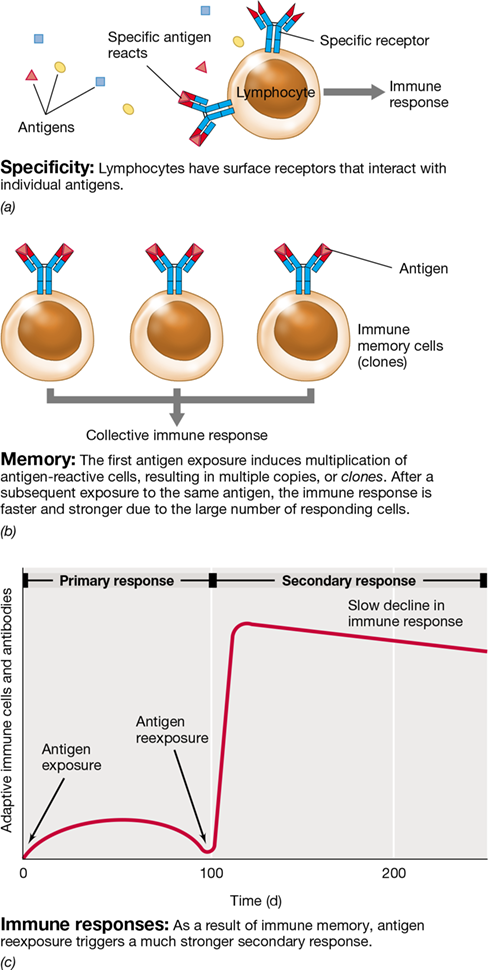 Ch 27 fig (p. 0)