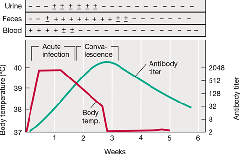 Ch 29 fig (p. 0)