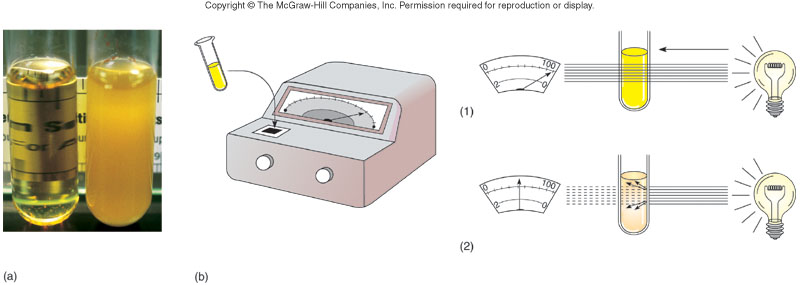 Figure from the course study guide