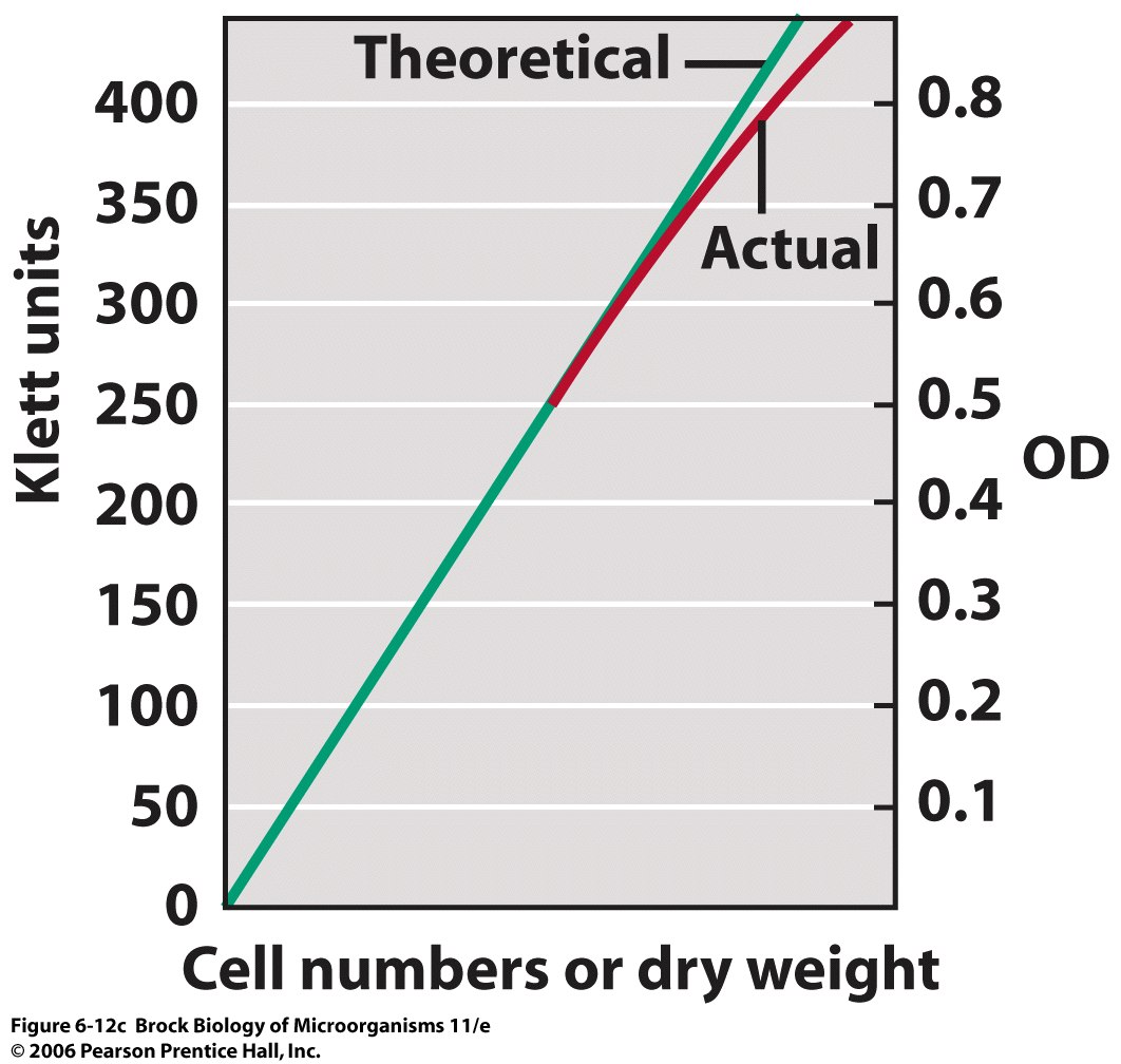 Figure from the course study guide