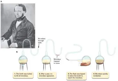 Figure from Chapter 1, Microbiology: An Evolving Science 6e