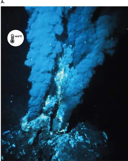 Figure from Chapter 1, Microbiology: An Evolving Science 6e