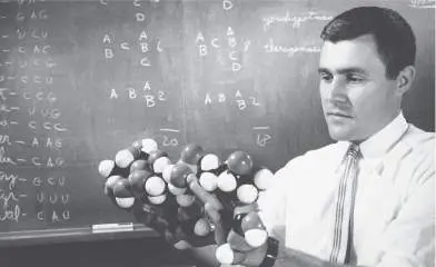 Figure from Chapter 1, Microbiology: An Evolving Science 6e