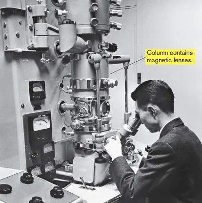 Figure from Chapter 1, Microbiology: An Evolving Science 6e