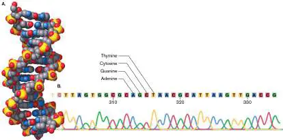 Figure from Chapter 1, Microbiology: An Evolving Science 6e