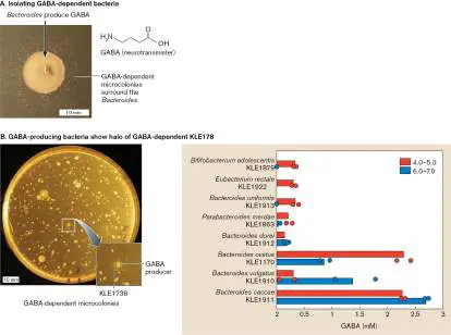 Figure from Chapter 1, Microbiology: An Evolving Science 6e
