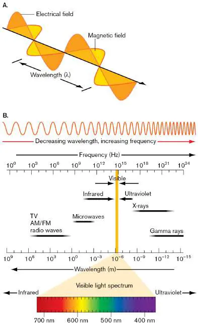 Figure from Chapter 2, Microbiology: An Evolving Science 6e
