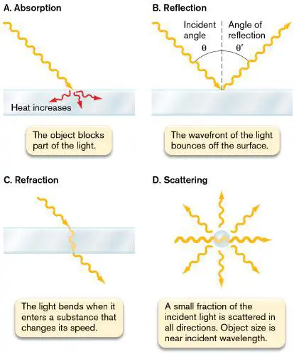 Figure from the course study guide
