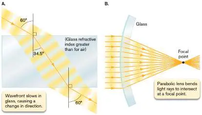 Figure from Chapter 2, Microbiology: An Evolving Science 6e