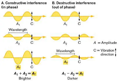 Figure from Chapter 2, Microbiology: An Evolving Science 6e