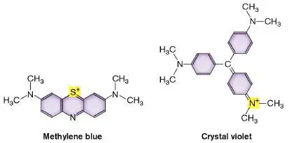 Figure from Chapter 2, Microbiology: An Evolving Science 6e