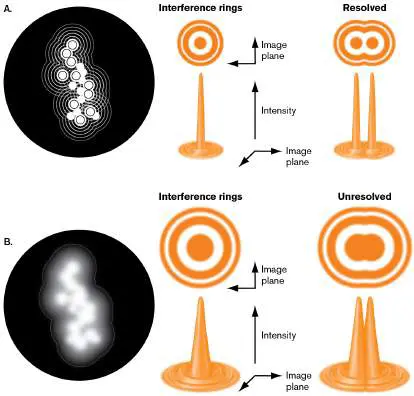 Figure from Chapter 2, Microbiology: An Evolving Science 6e