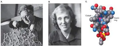 Figure from Chapter 2, Microbiology: An Evolving Science 6e