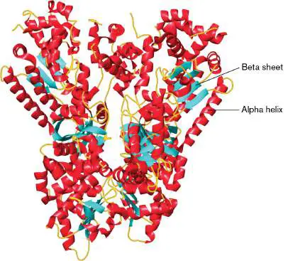 Figure from Chapter 2, Microbiology: An Evolving Science 6e