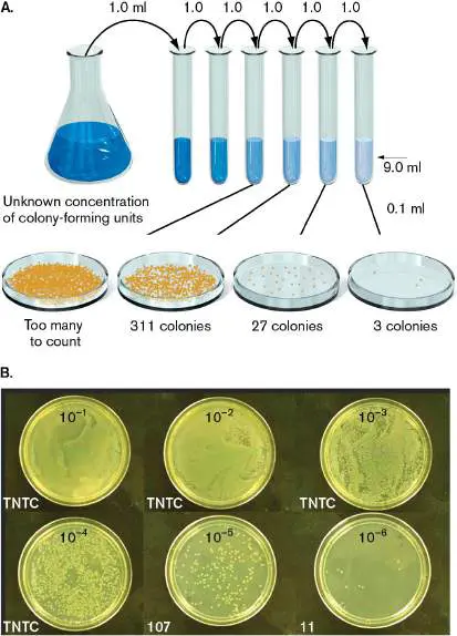 Figure 4.14 from Microbiology: An Evolving Science 6e