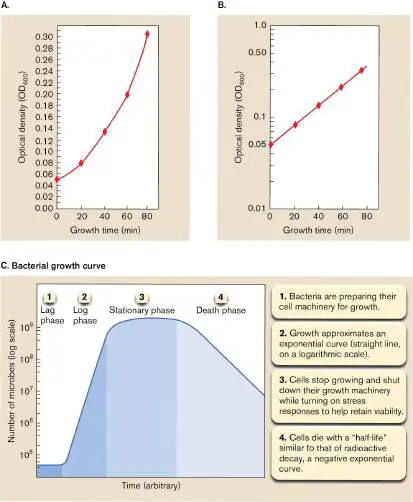 Figure 4.22 from Microbiology: An Evolving Science 6e