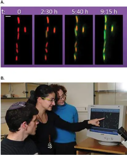 Figure 4.23 from Microbiology: An Evolving Science 6e