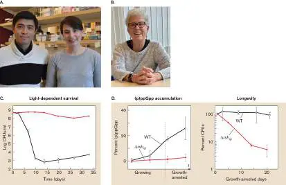 Figure 4.25 from Microbiology: An Evolving Science 6e