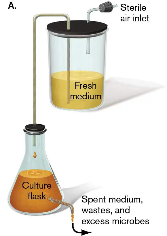 Figure from Chapter 4, Microbiology: An Evolving Science 6e