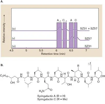 Figure from Chapter 4, Microbiology: An Evolving Science 6e