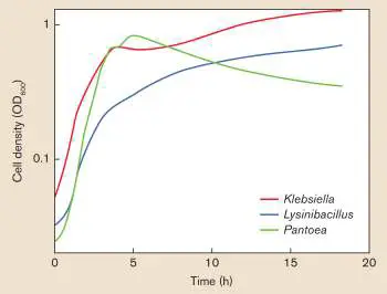 Figure from Chapter 4, Microbiology: An Evolving Science 6e