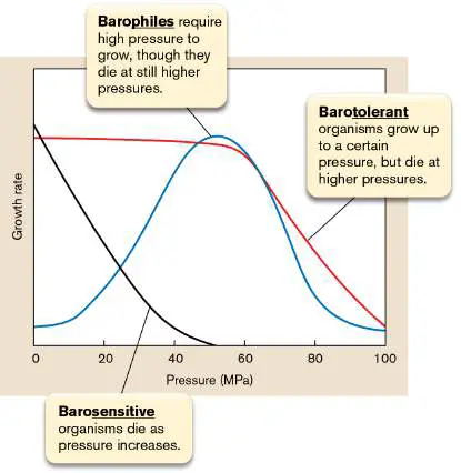 Figure from the course study guide