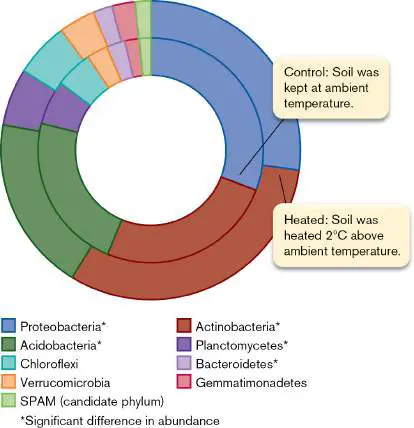 Figure from Chapter 5, Microbiology: An Evolving Science 6e