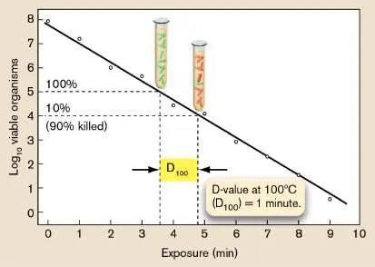 Figure from Chapter 5, Microbiology: An Evolving Science 6e