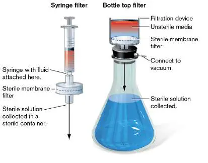 Figure from Chapter 5, Microbiology: An Evolving Science 6e