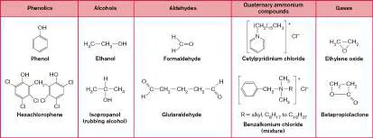 Figure from Chapter 5, Microbiology: An Evolving Science 6e