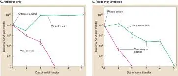 Figure from Chapter 5, Microbiology: An Evolving Science 6e