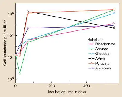 Figure from Chapter 5, Microbiology: An Evolving Science 6e